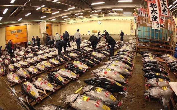 東 京 最 大 的 魚 市 場 : 築 地 市 場 。