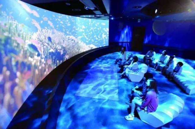 療癒博物館 在 2 . 4 * 1 2 m 的 超 大 螢 幕 中 漫 步 海 底 。