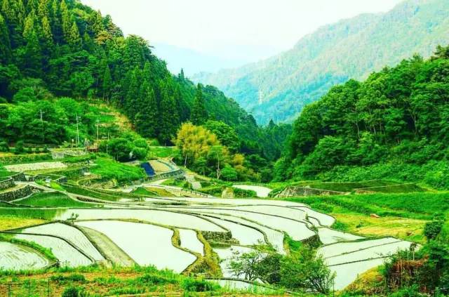 日本31處美景 Pic|Instagram@mamachan_k