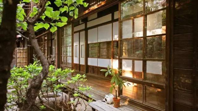 復 古 的 日 式 庭 院 |toco. 官 網