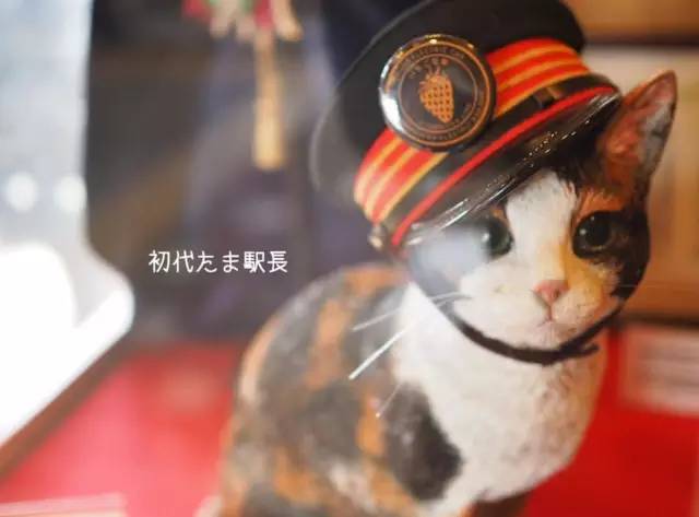 列 車 長 小 玉 。Pic |Instagram@mikarin_77