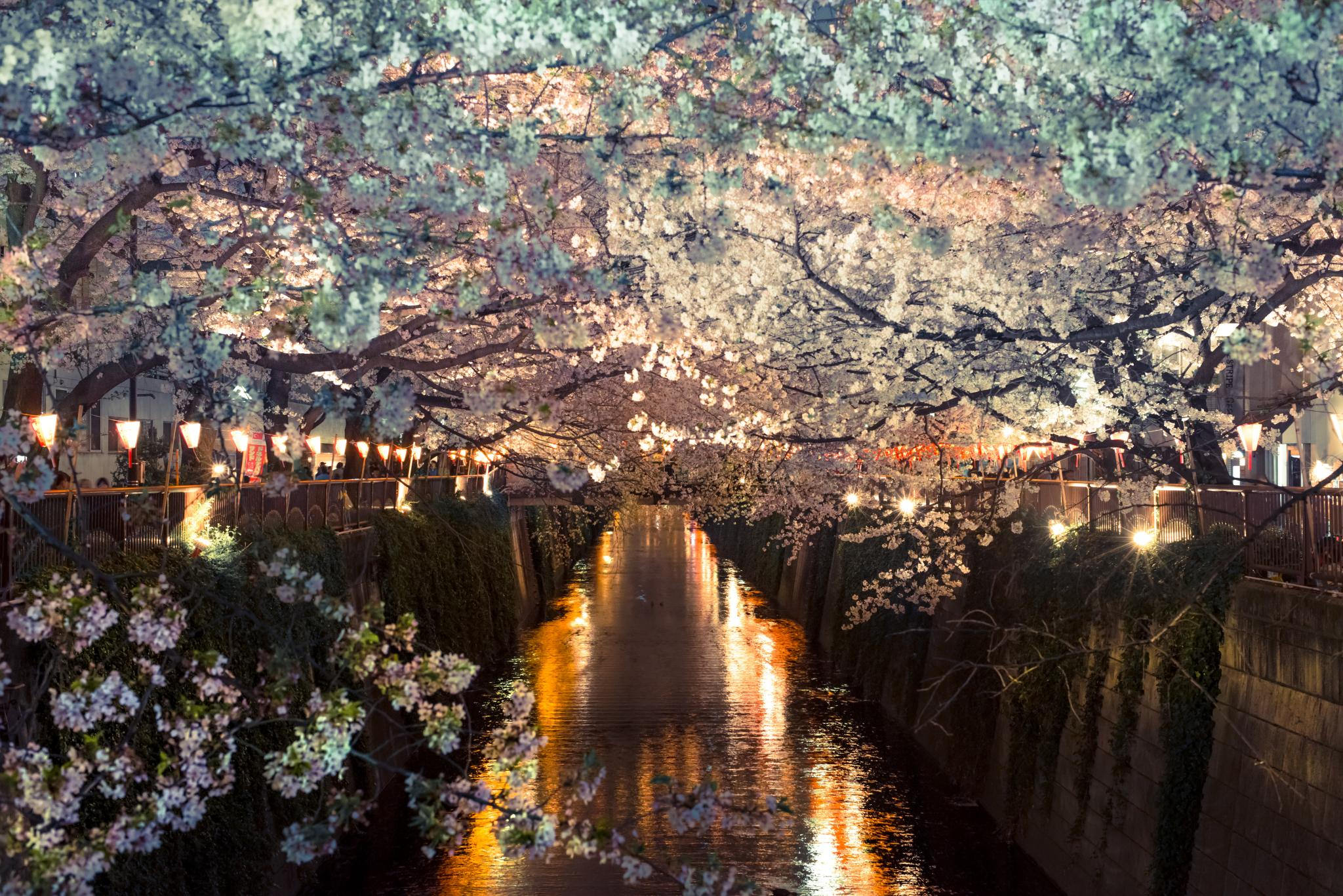 Klook客路・探索未知的你 flickr CC editor Carlos Donderis