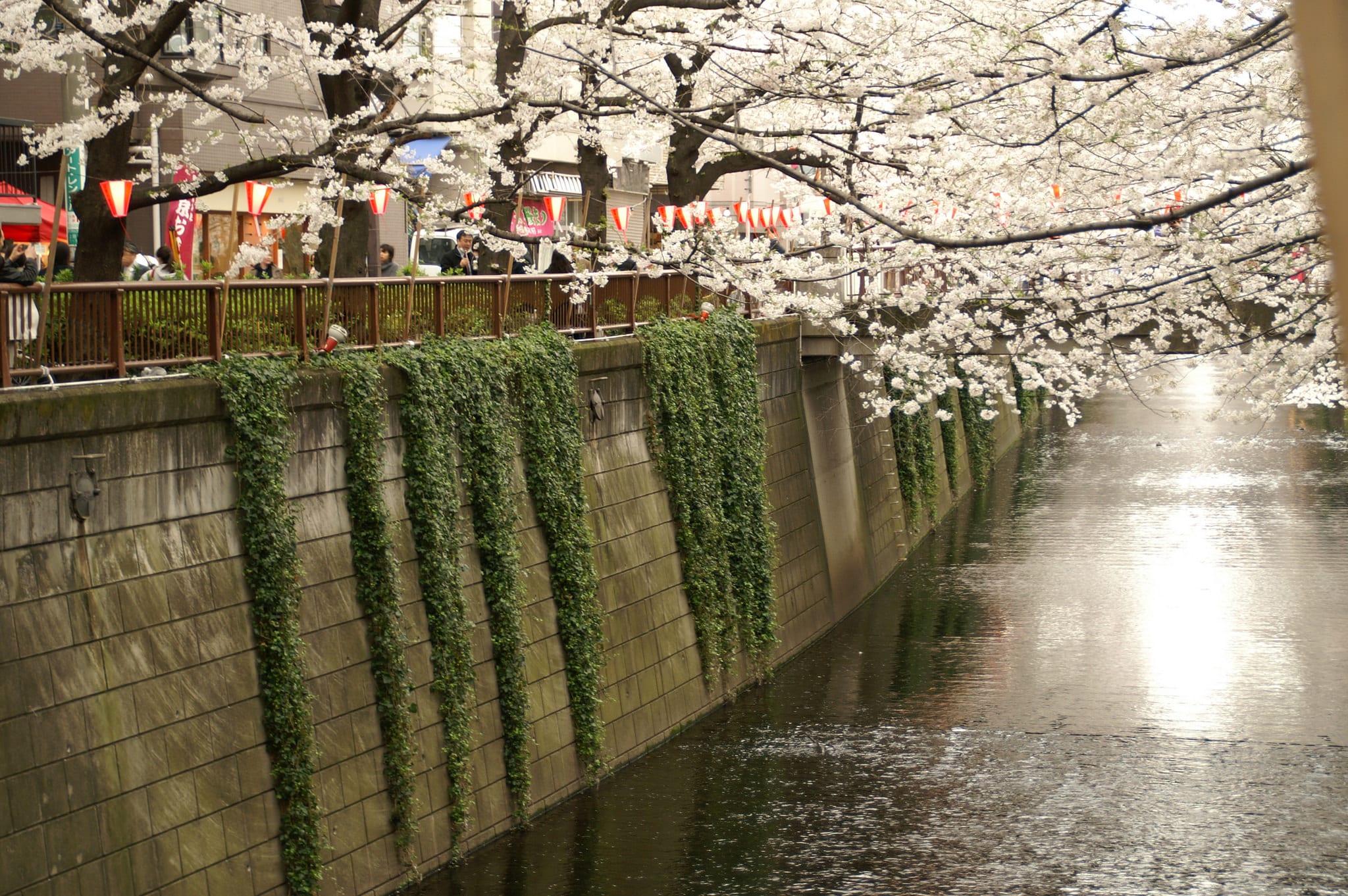 Klook客路・探索未知的你 flickr CC editor Staffan Asami