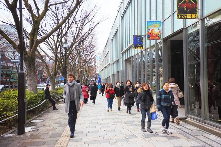 表參道的漂亮街道。|來源:matcha-jp.com
