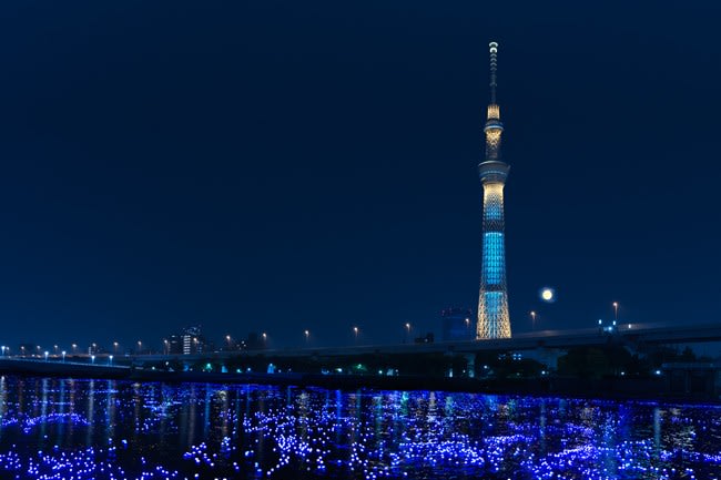 東 京 東 部 新 地 標 , 天 空 樹( 圖 片 來 源 :MOOK)