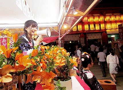 圖片來源:網路