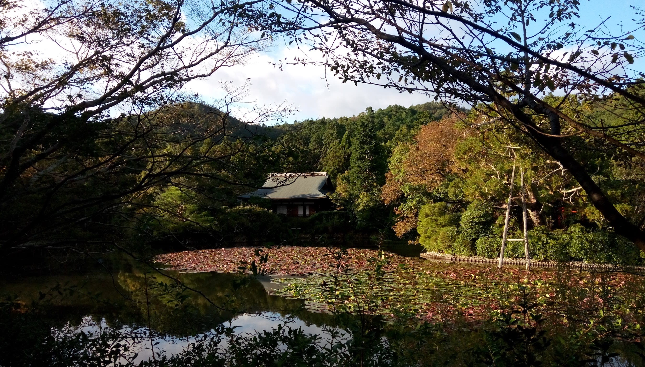 美麗的湖景庭園