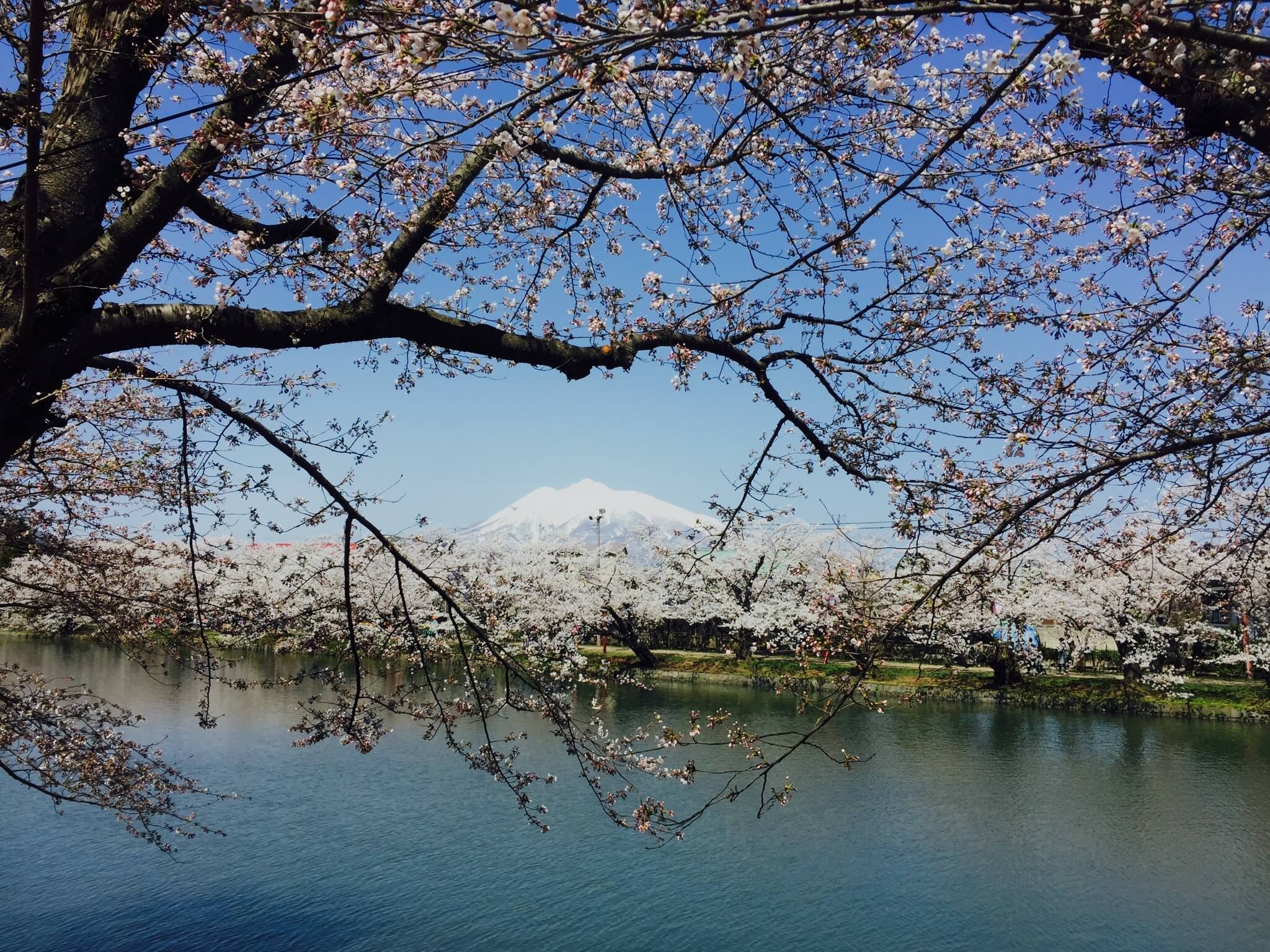 天氣好的話可以從西濠望見岩木山。