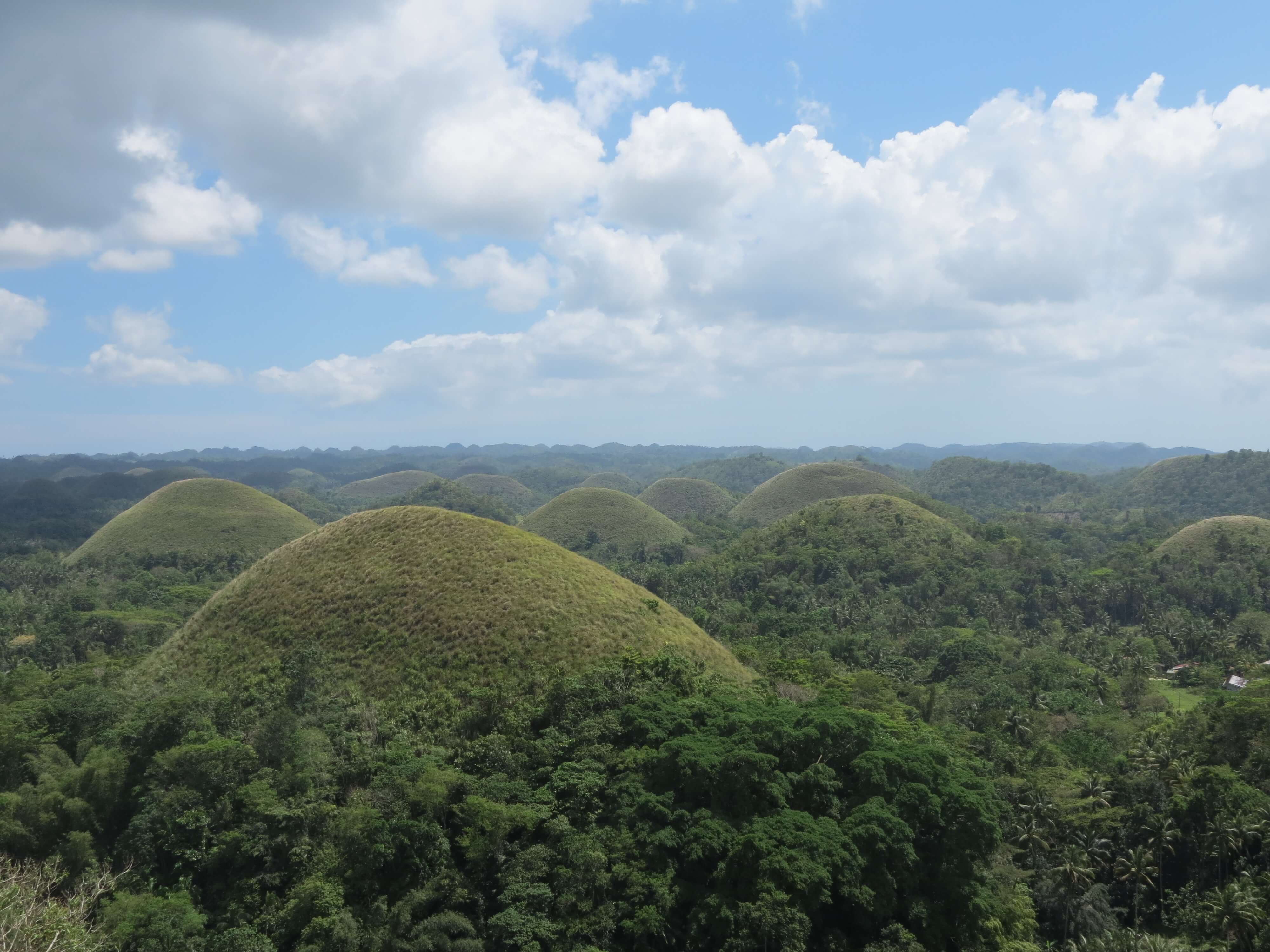 巧克力山|Chocolate hills