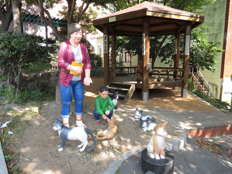 《與流浪貓的親密日常生活》甘川洞文化村