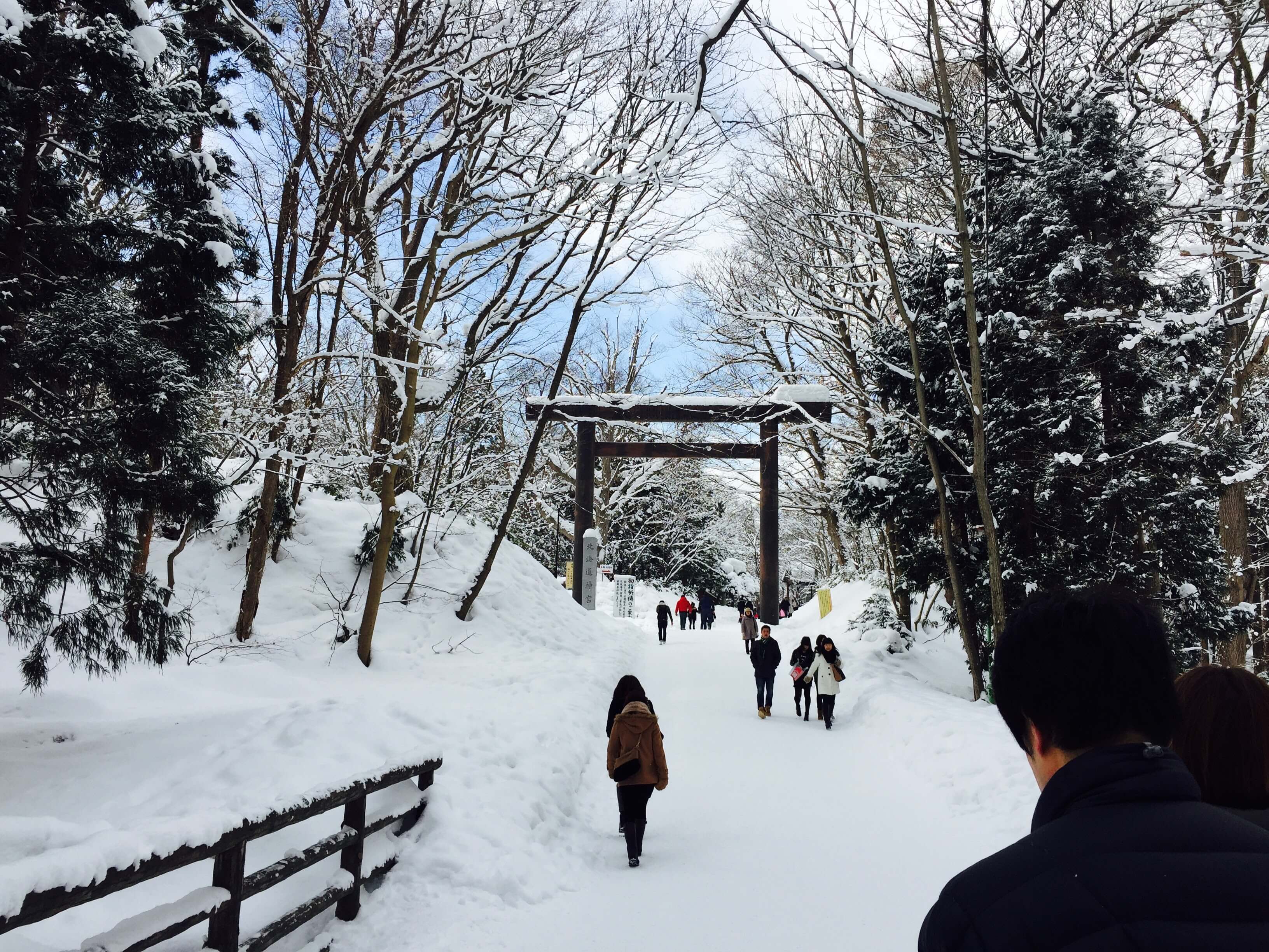 北海道神宮 。 Photographer|Zach Huang