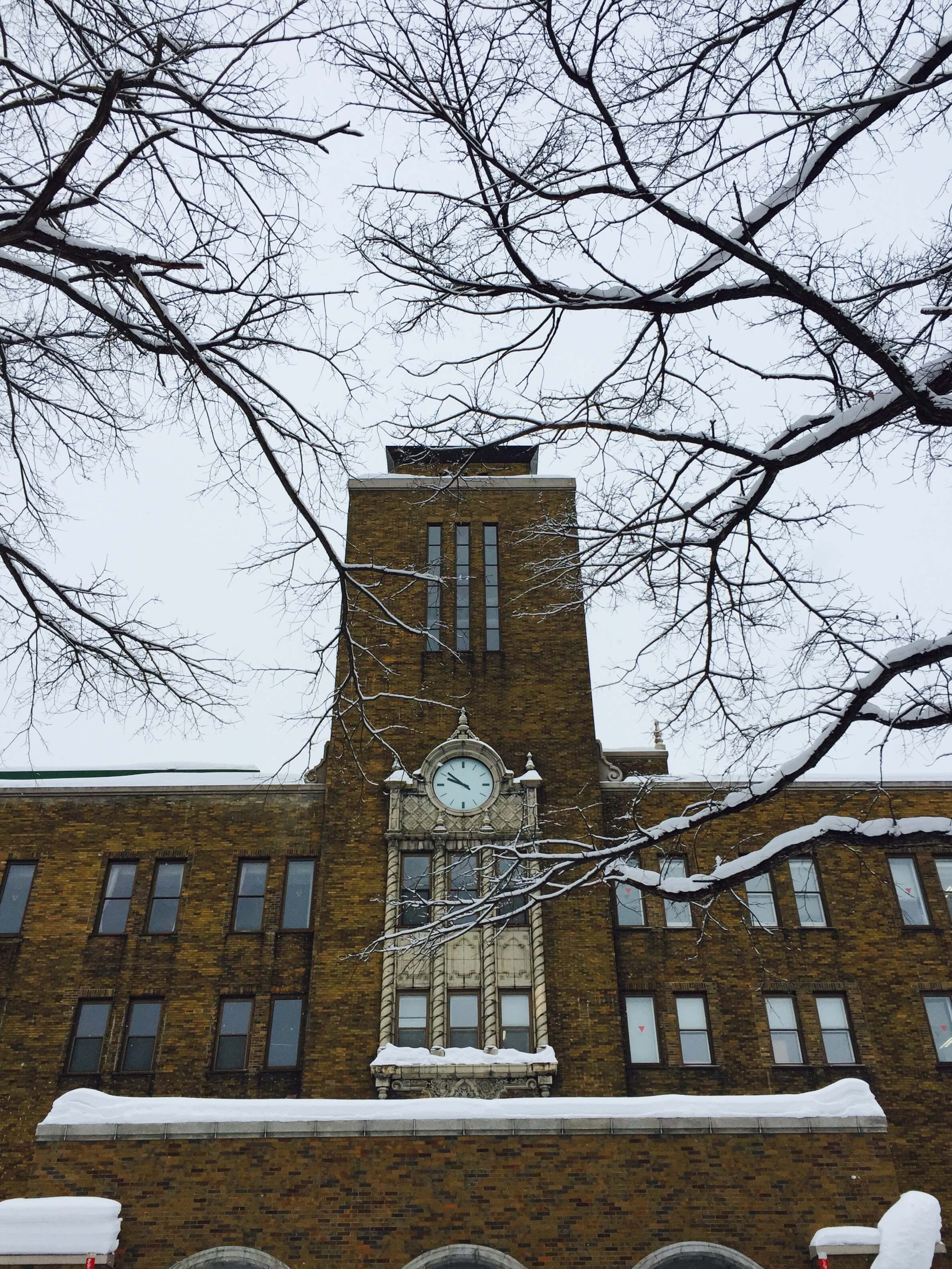 北海道大學農學部・冬