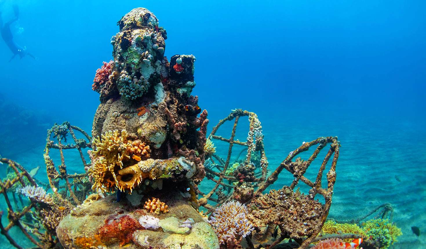 © Tropical studio / Shutterstock