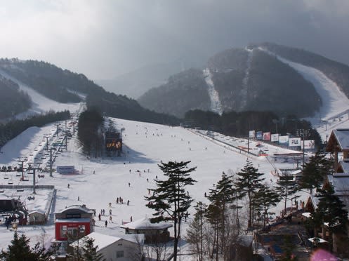 winter_2014_candidate_city-_pyeongchang_dragon_valley_ski_resort