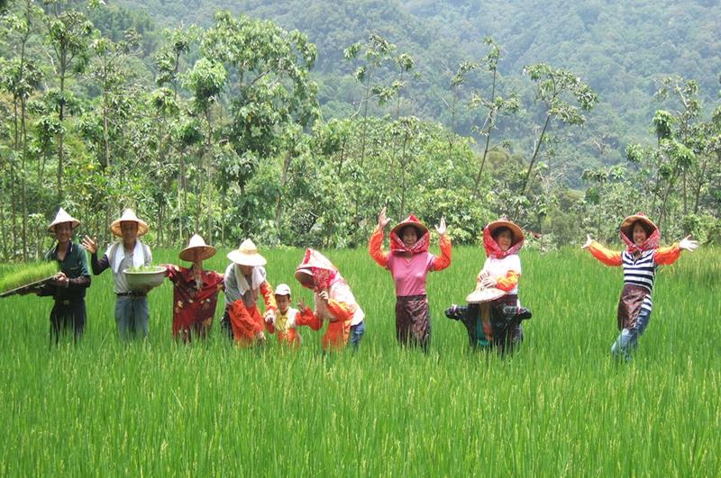 頭城農場(照片來源:頭城農場官網)http://tcfarm.businesscatalyst.com/