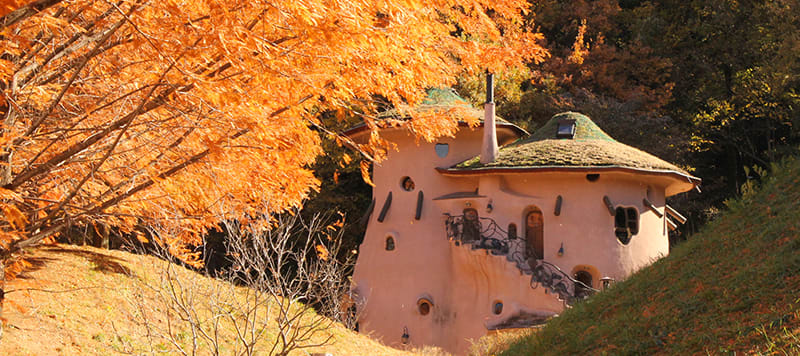 秋天金黃色的嚕嚕米公園非常漂亮/ Photo:www.city.hanno.lg.jp