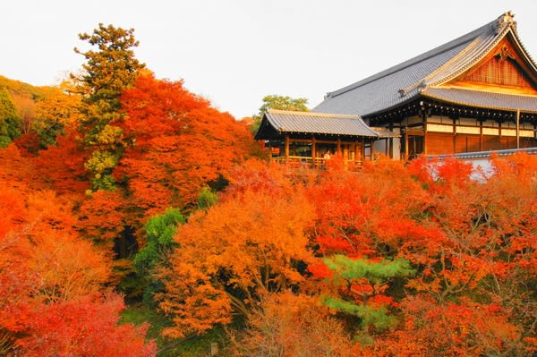 東福寺。