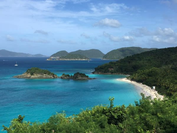 這 張 招 牌 一 般 的 照 片 , 說 明 了 聖 約 翰 的 景 色 : 水 清 沙 白 、 椰 林 樹 影 。
