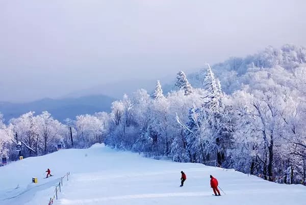 Klook客路・探索未知的你 亞洲滑雪場精選