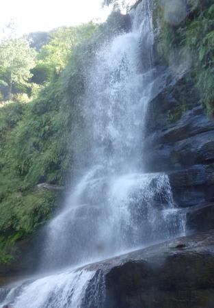 鬍 鬚 瀑 布 全 景