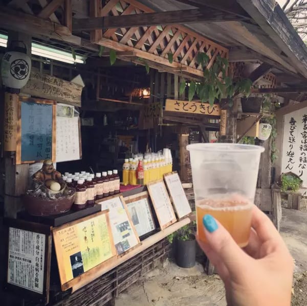 Klook客路・探索未知的你 沖繩特色咖啡店 沖 繩 也 有 甘 蔗 汁 唷。