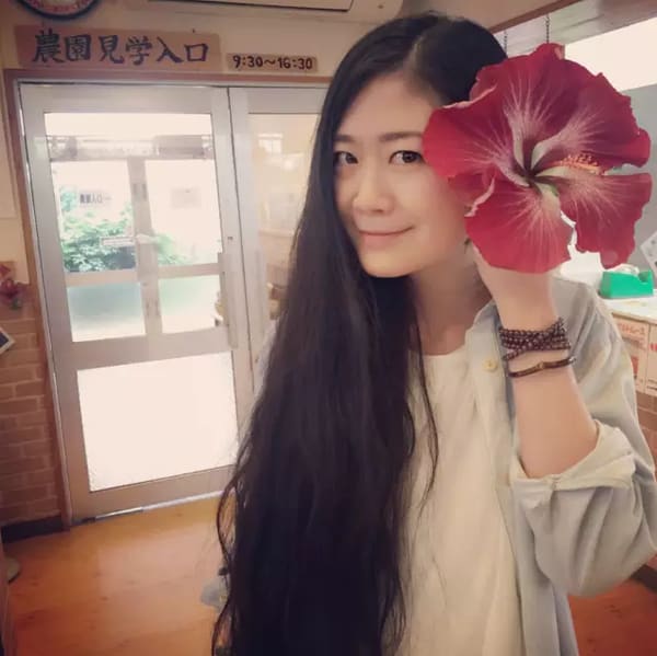 Klook客路・探索未知的你 比 臉 還 大 的 扶 桑 花 。