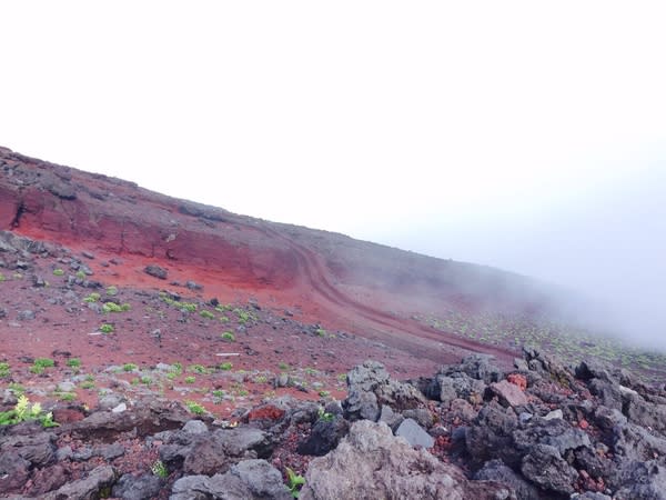 紅 色 的 火 山 土 。