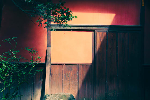 Photographer|Arlene Li