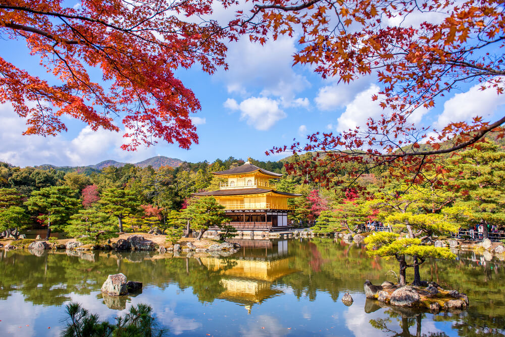 率性型賞楓攻略 楓 葉 映 照 在 金 閣 寺 的 金 光 上