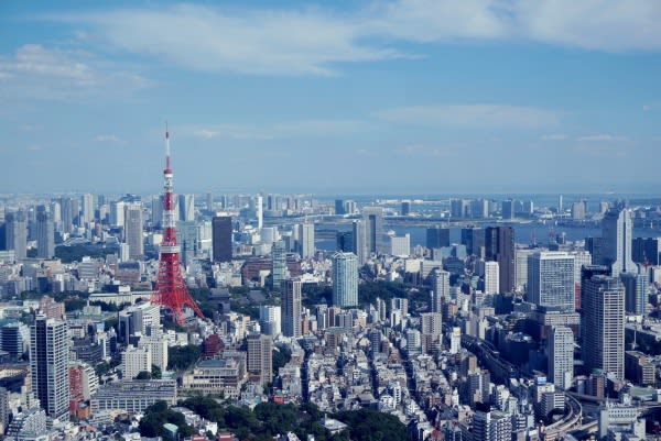 遠 眺 東 京 鐵 塔 。