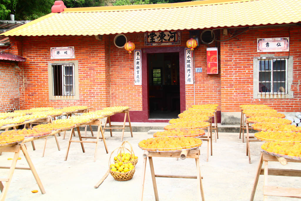 一簍簍金黃柿子佈滿整個院子,與傳統的三合院建築,融合成絕美壯麗景緻。(Flickr授權作者-T.CSH)