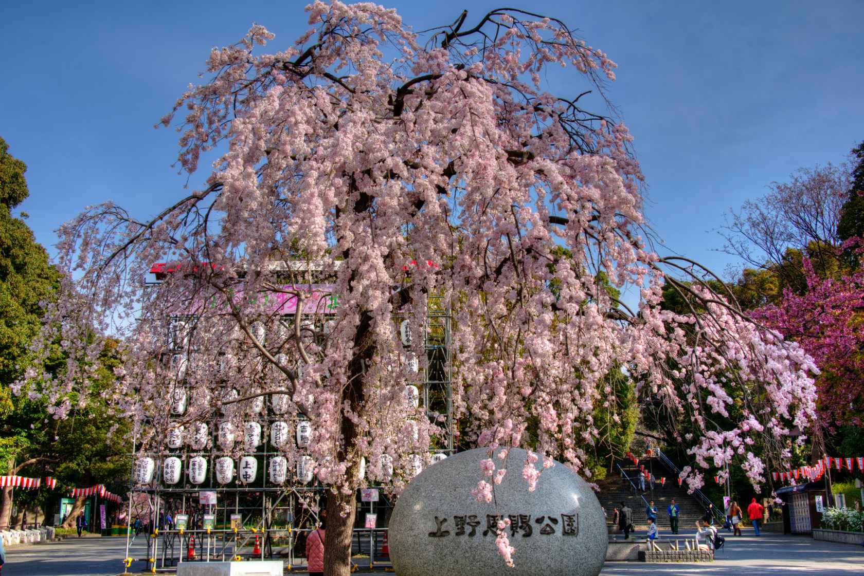 圖片說明: 旅wiki