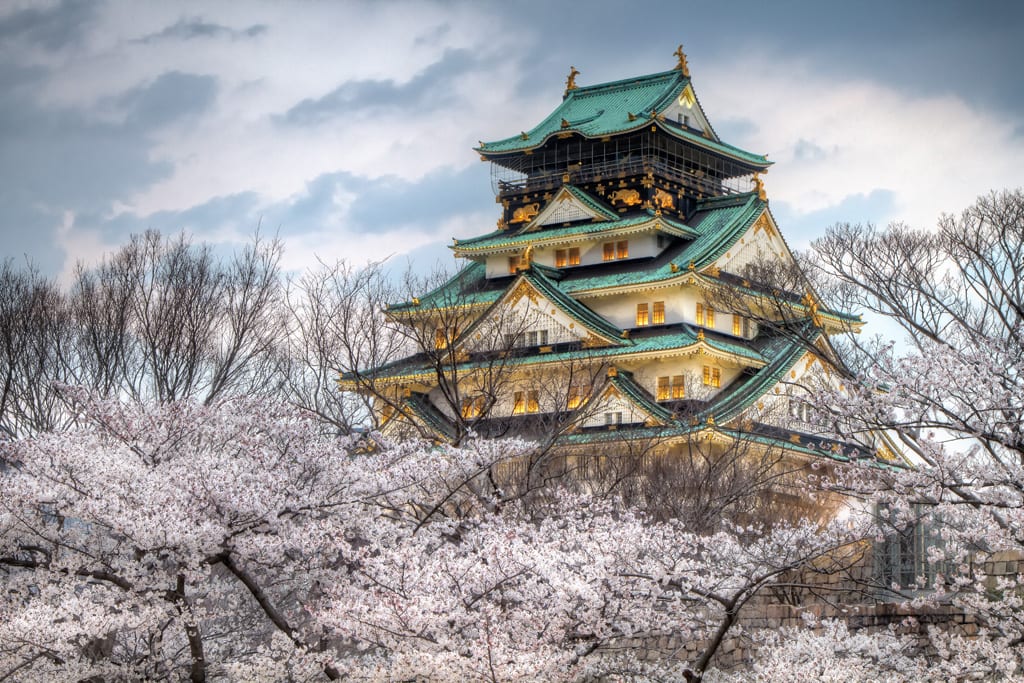 京都櫻花