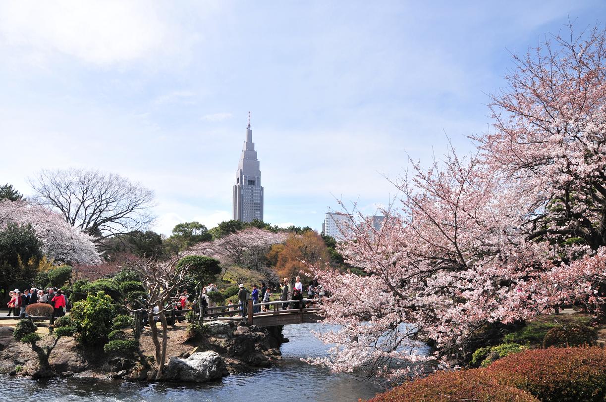 圖片來源: blogs.yahoo.co.jp