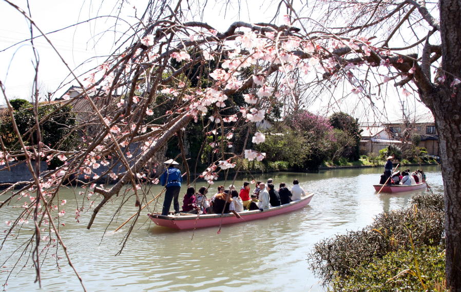 Photo: 九州あちこち歴史散歩
