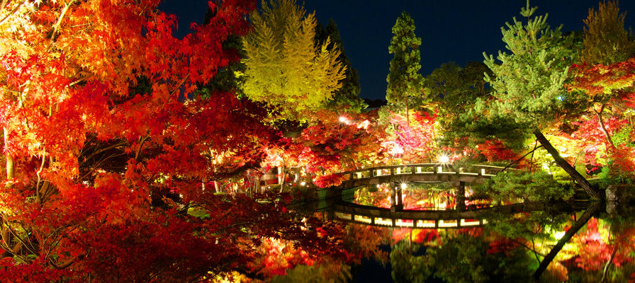 和楓葉分不開的永觀堂。來源:https://travel.rakuten.co.jp/mytrip/trend/kyoto-lightup/