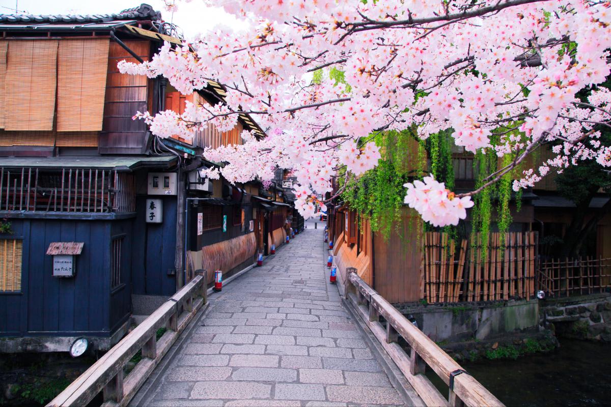 圖片來源: ZEKKEI Japan