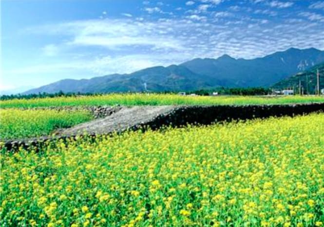 圖 片 來 源 : 花 東 縱 谷 國 家 風 景 區