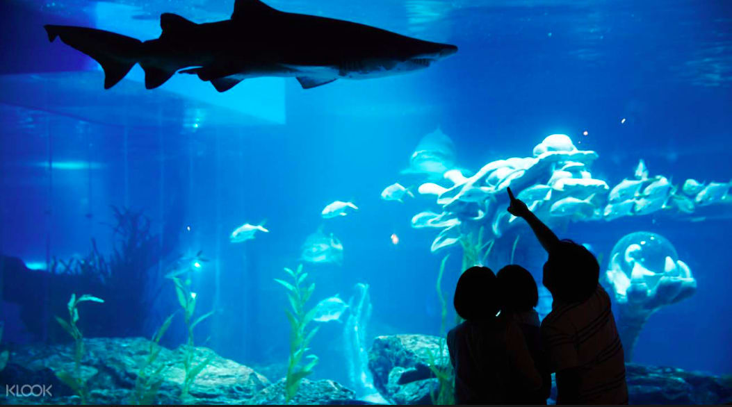 SEA LIFE釜山水族館