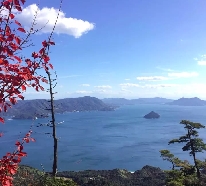 Pic | insta@akiko.122
