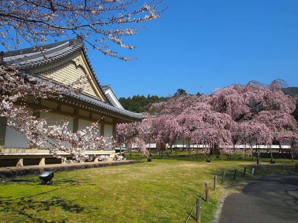 圖片來源:京都旅屋