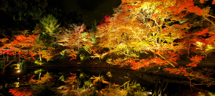 充滿浪漫情懷的高台寺 來源:https://travel.rakuten.co.jp/mytrip/trend/kyoto-lightup/