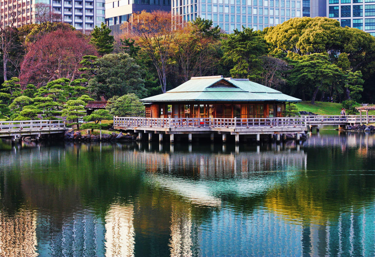 ngắm hoa ở vườn hamarikyu là một ý tưởng hẹn hò ở tokyo