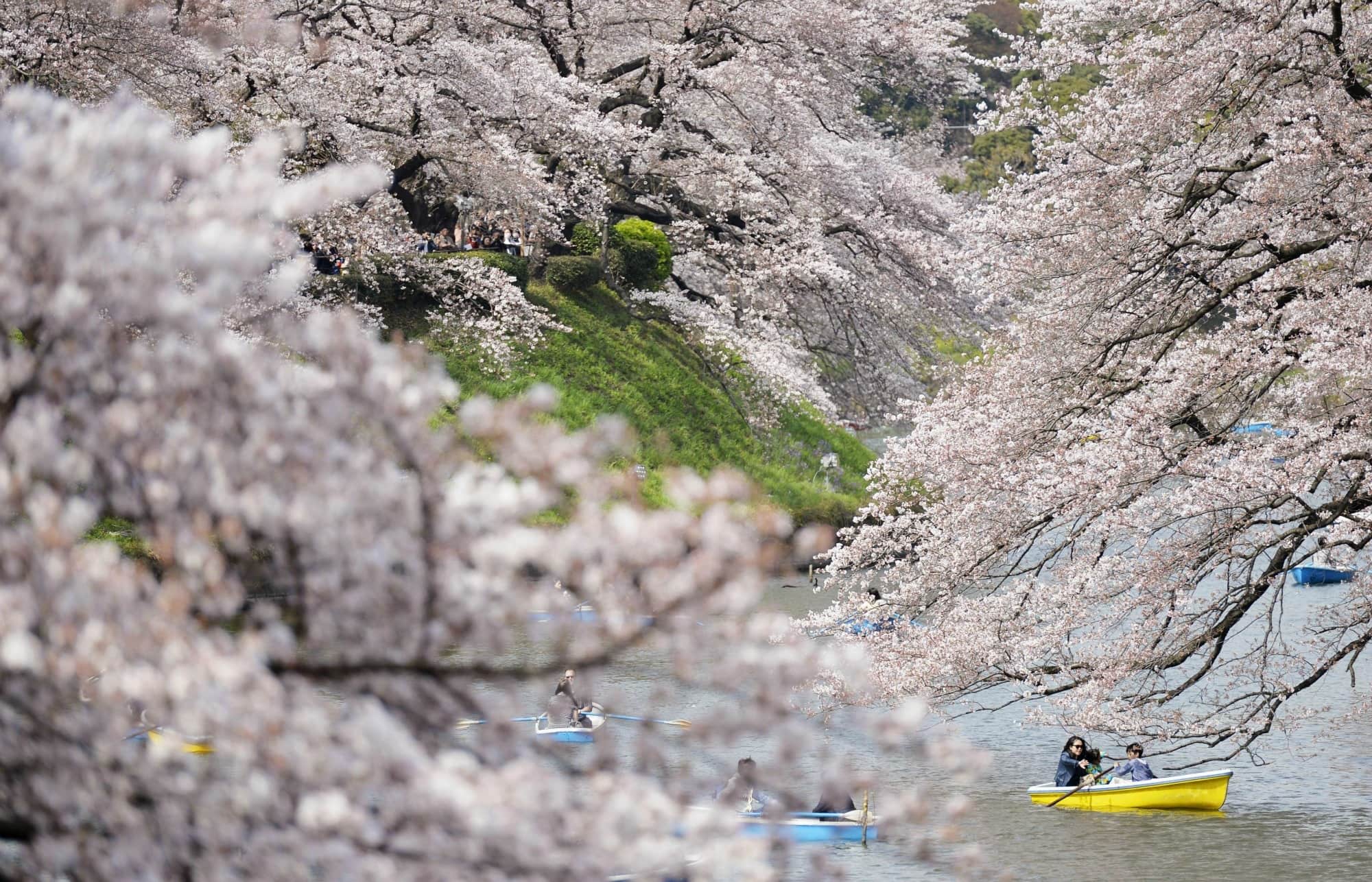 đi thuyền ở đầm chidorigafuchi là một ý tưởng hẹn hò ở tokyo