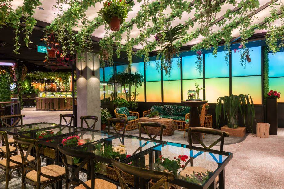 Ngỡ Ngàng Với 13 Quán Cafe Đỉnh Của Đỉnh Tại Singapore 18 quán cafe ở singapore: cafe vườn tại picnic sg