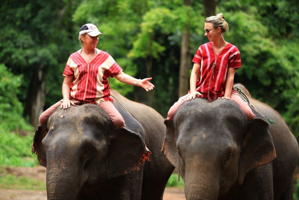 du lịch tự túc chiang mai: cưỡi voi