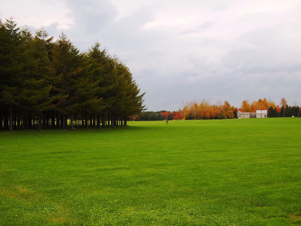 Tất Tần Tật Về Mùa Thu Ở Hokkaido! 11 mùa thu ở hokkaido: công viên moerenuma