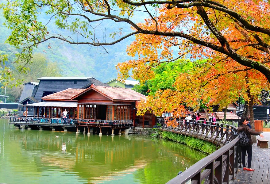 ngắm lá phong ở đài loanL che cheng