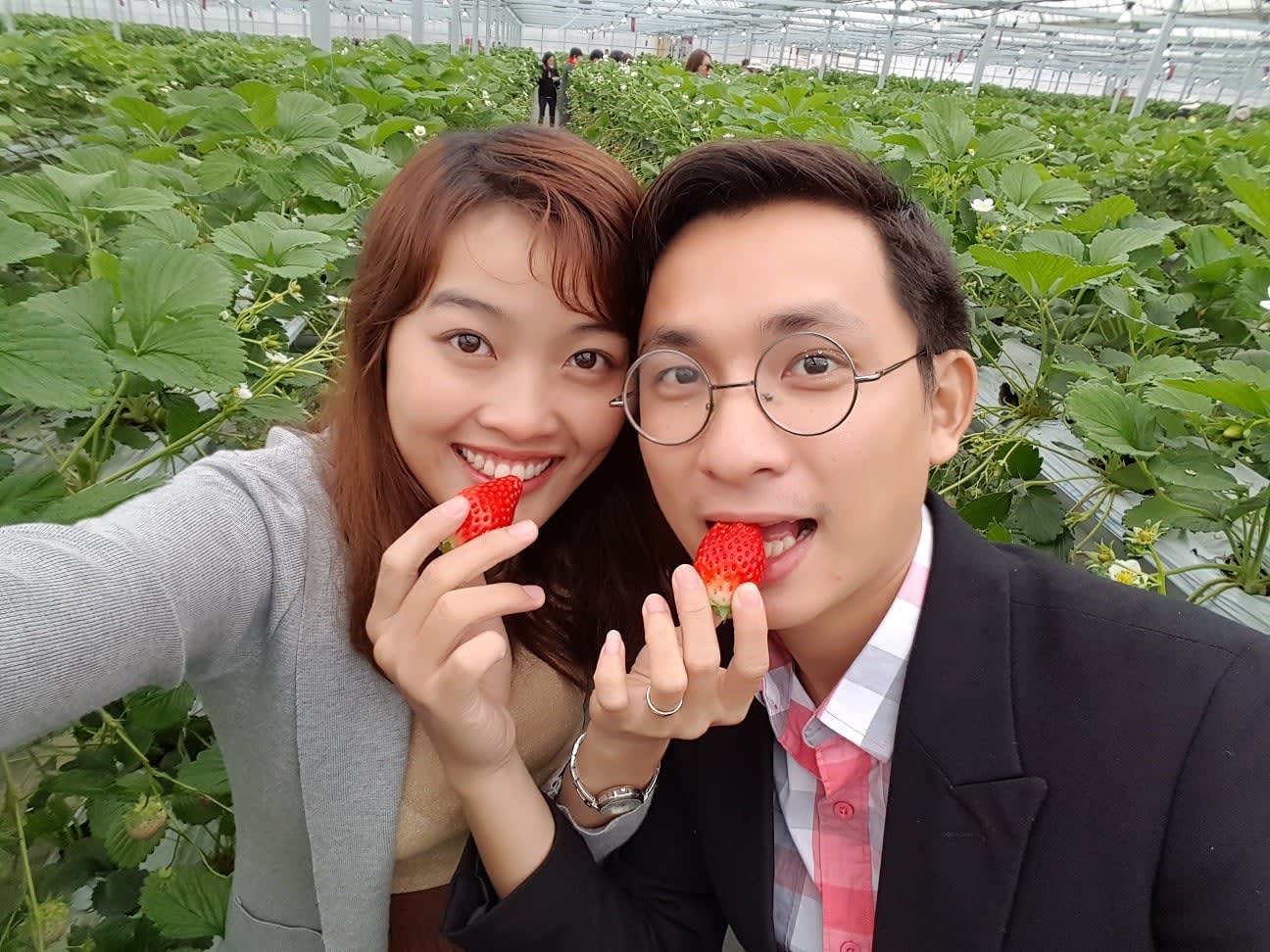 du lịch tự túc một tuần ở nhật bản: tham quan vườn dâu