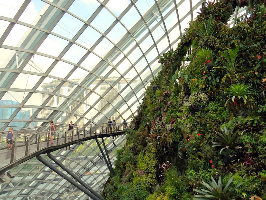 đến khu nhà kính cloud forest trong chuyến du lịch singapore 3 ngày 2 đêm